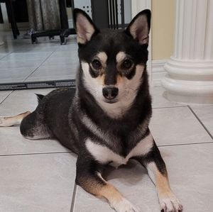 Meet your Posher, Mai